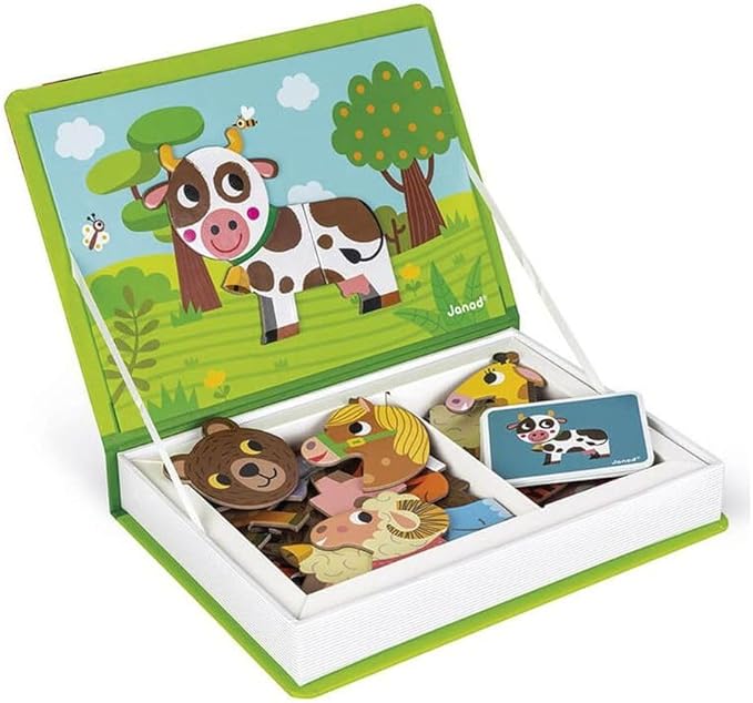 Libri Magnetici